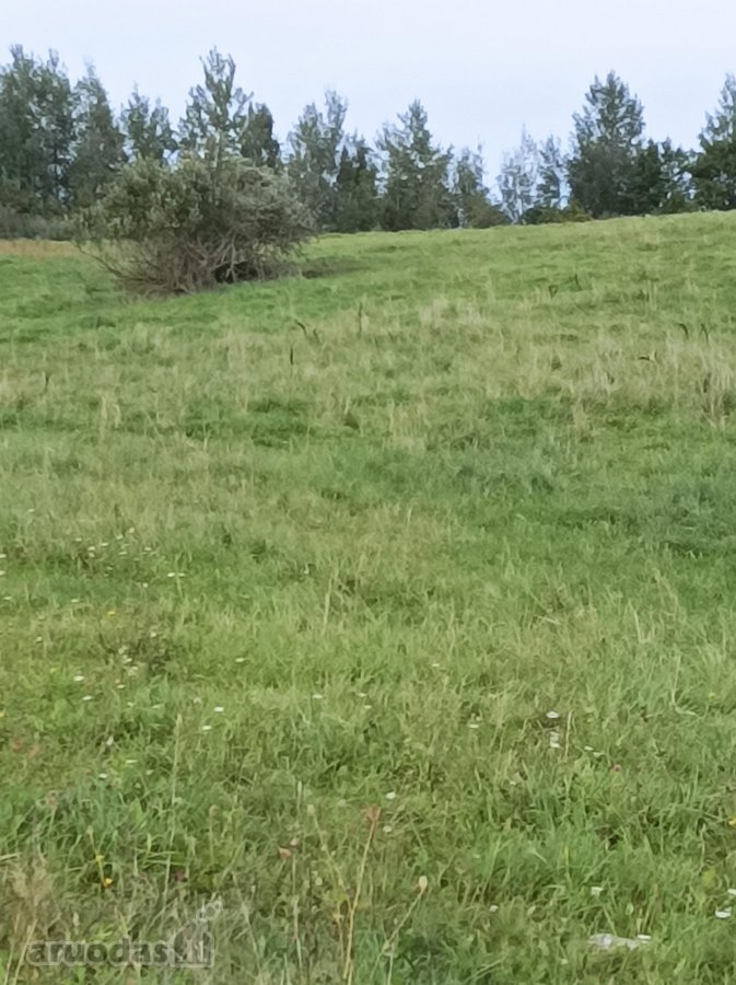 Sklypo unikalus Nr. 4400-2486-4106 , žemės - nuotraukos Nr. 3