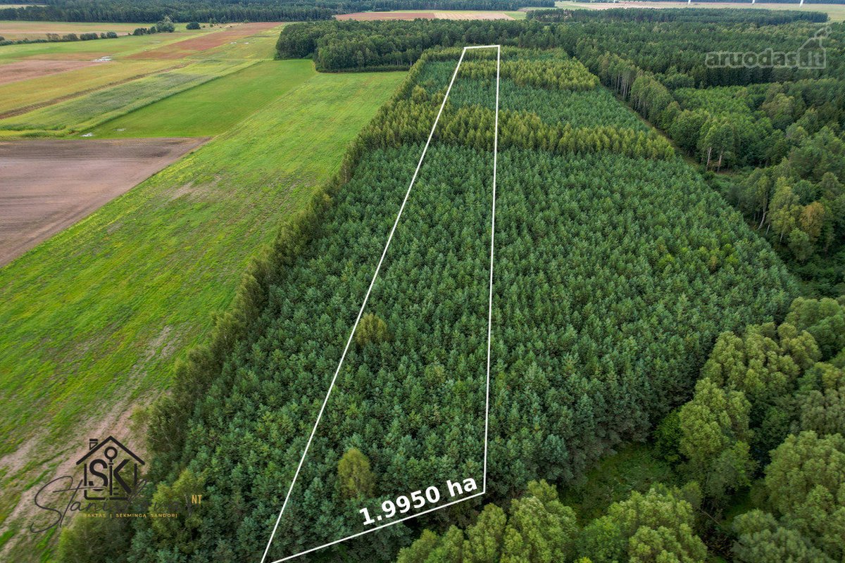 Parduodamas 1.9950 Ha Miškų Ūkio Sklypas - nuotraukos Nr. 2