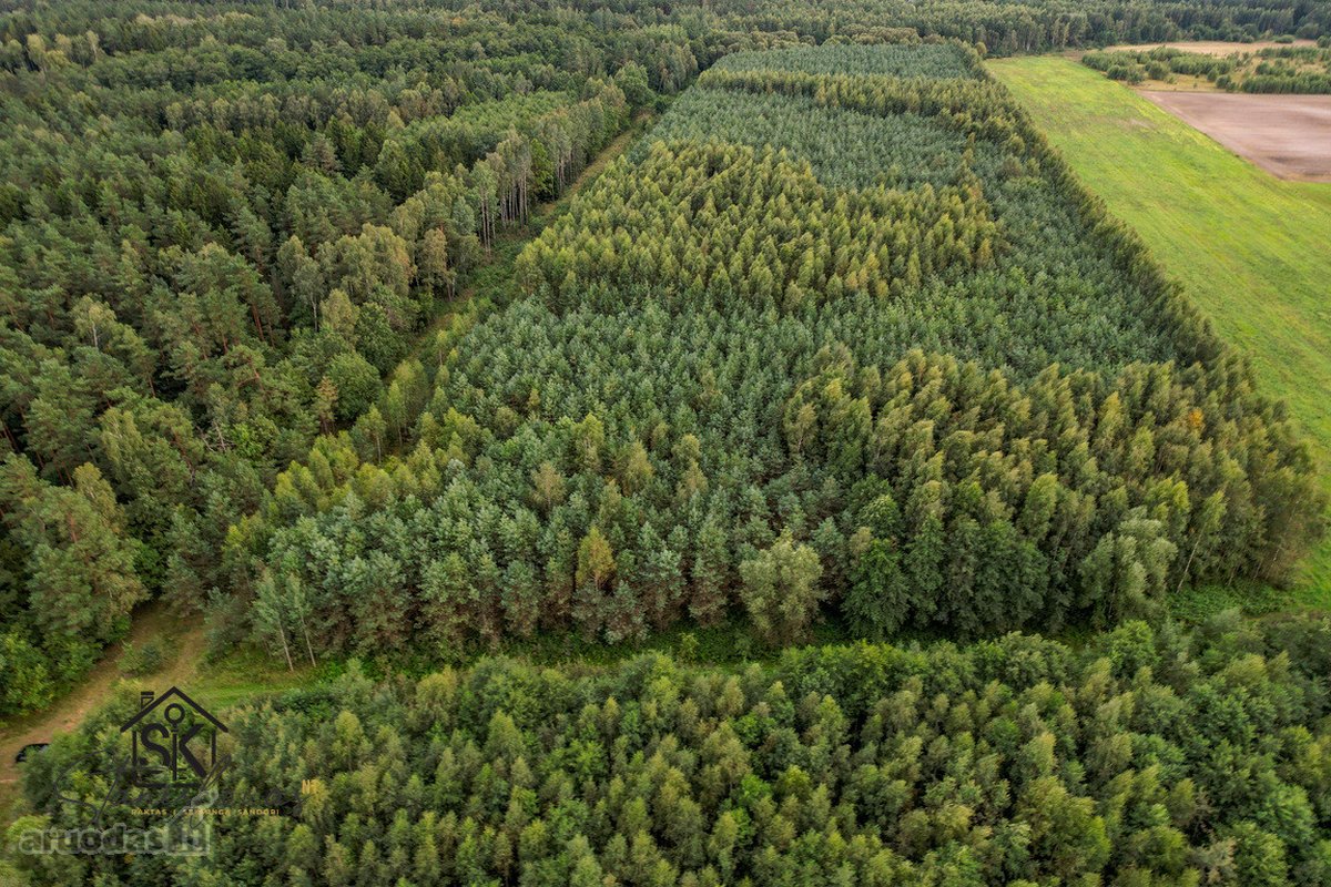 Parduodamas 1.9950 Ha Miškų Ūkio Sklypas - nuotraukos Nr. 3