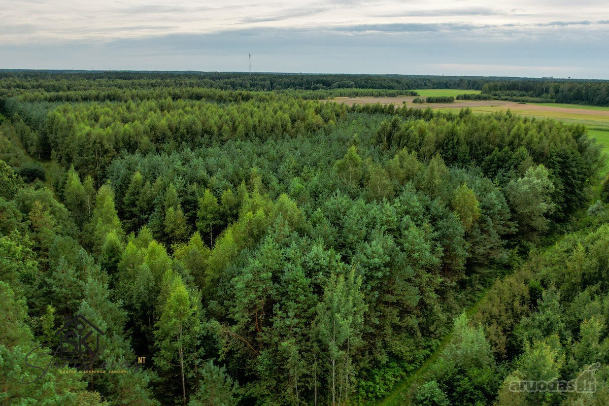 Parduodamas 1.9950 Ha Miškų Ūkio Sklypas - nuotraukos Nr. 5