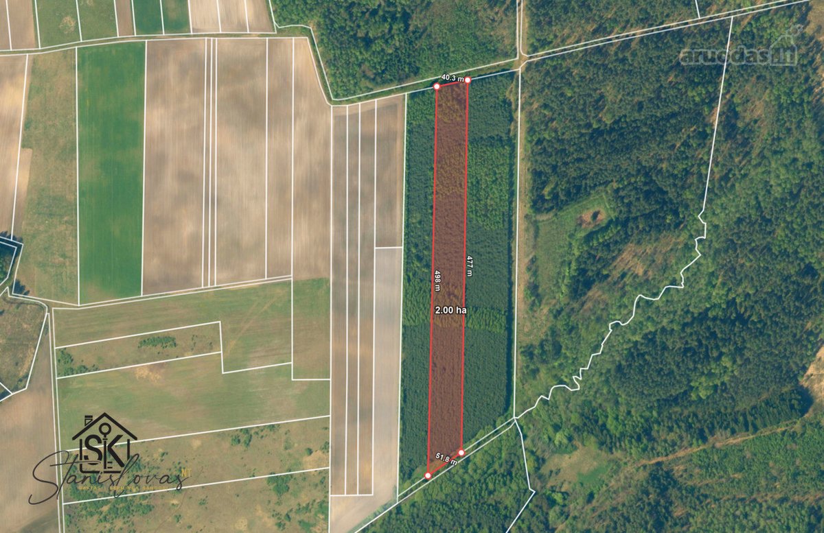 Parduodamas 1.9950 Ha Miškų Ūkio Sklypas - nuotraukos Nr. 6