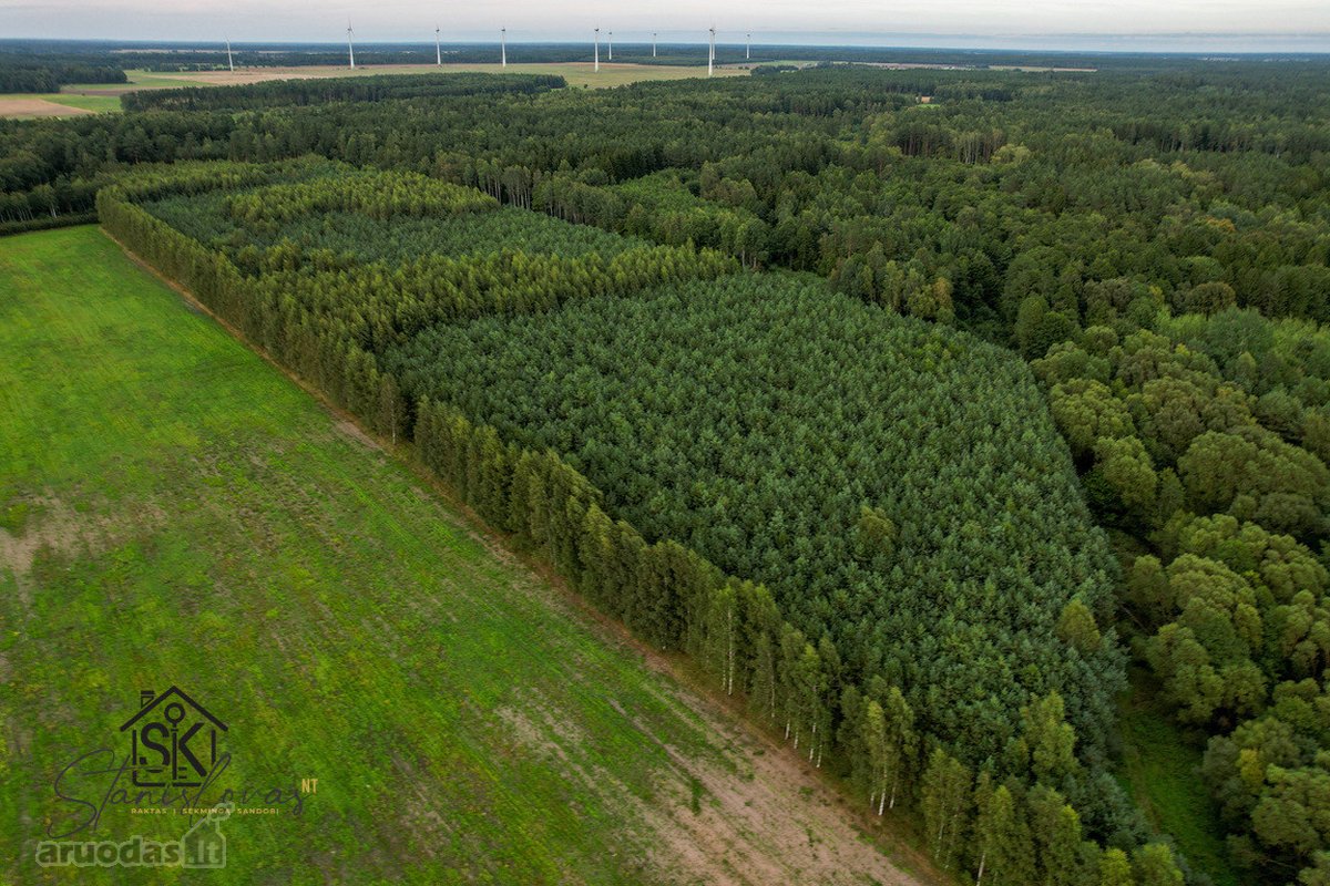 Parduodamas 1.9950 Ha Miškų Ūkio Sklypas - nuotraukos Nr. 8