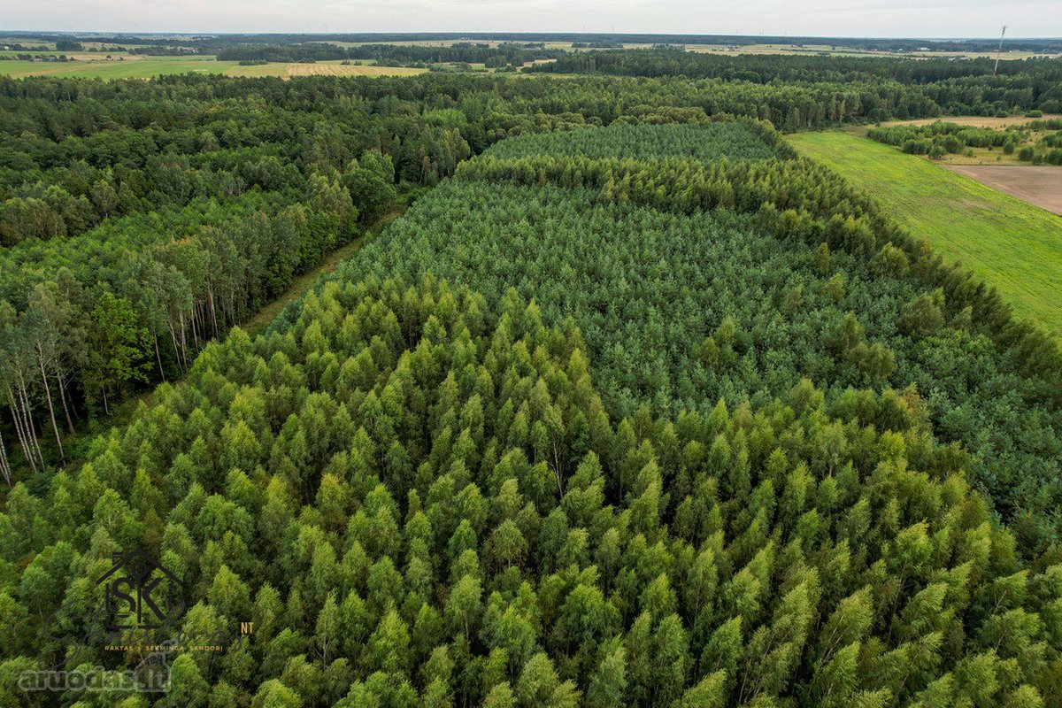 Parduodamas 1.9950 Ha Miškų Ūkio Sklypas - nuotraukos Nr. 10
