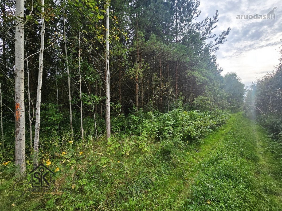 Parduodamas 1.9950 Ha Miškų Ūkio Sklypas - nuotraukos Nr. 12