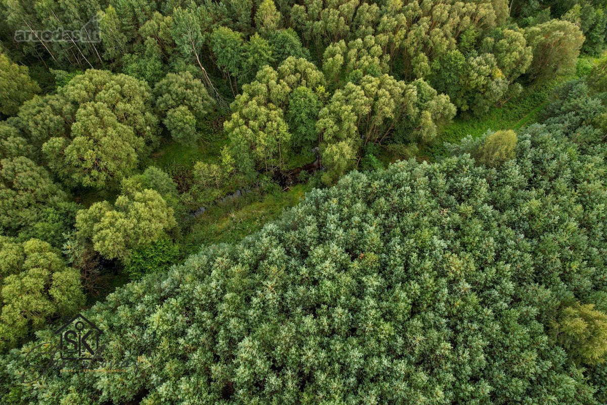 Parduodamas 1.9950 Ha Miškų Ūkio Sklypas - nuotraukos Nr. 16