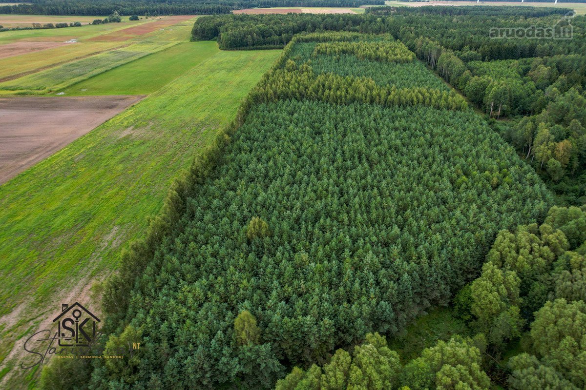 Parduodamas 1.9950 Ha Miškų Ūkio Sklypas - nuotraukos Nr. 17