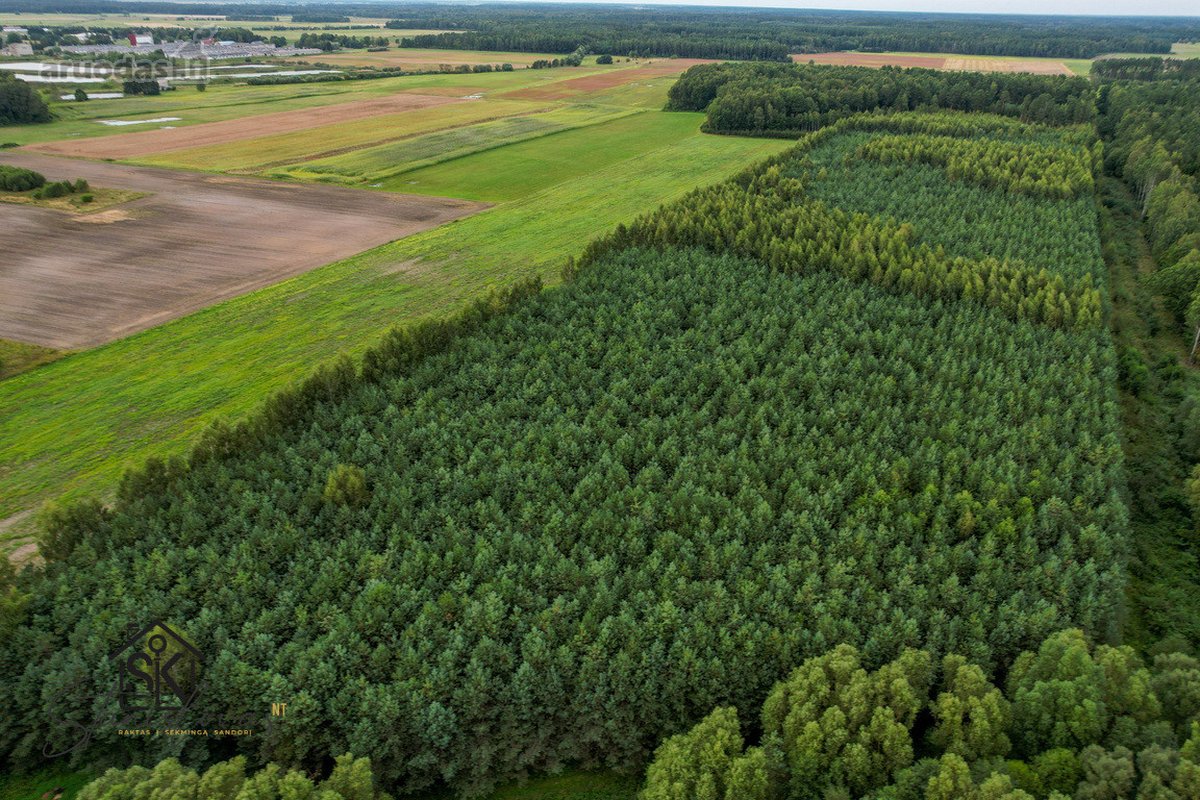 Parduodamas 1.9950 Ha Miškų Ūkio Sklypas - nuotraukos Nr. 18