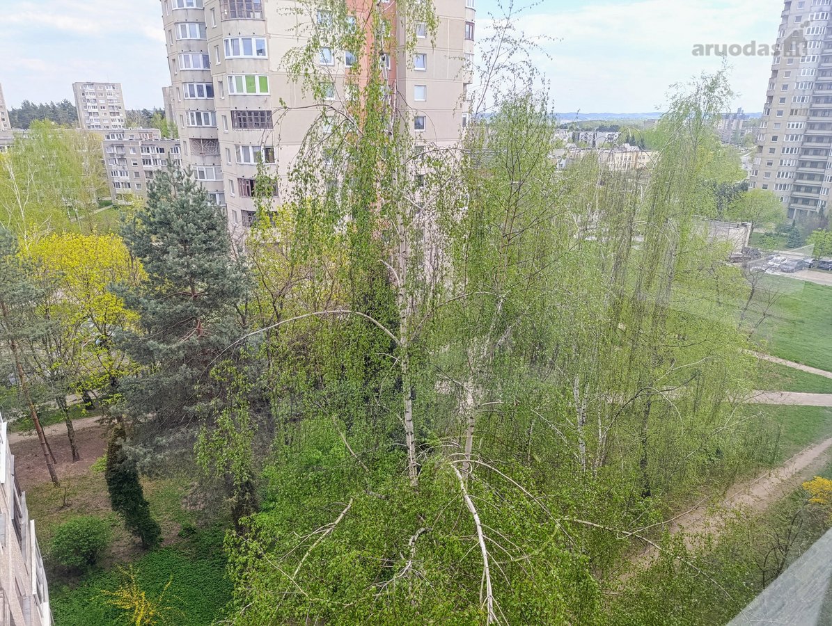 Išnuomojamas (Be Tarpininkų) tvarkingas 3- jų - nuotraukos Nr. 16