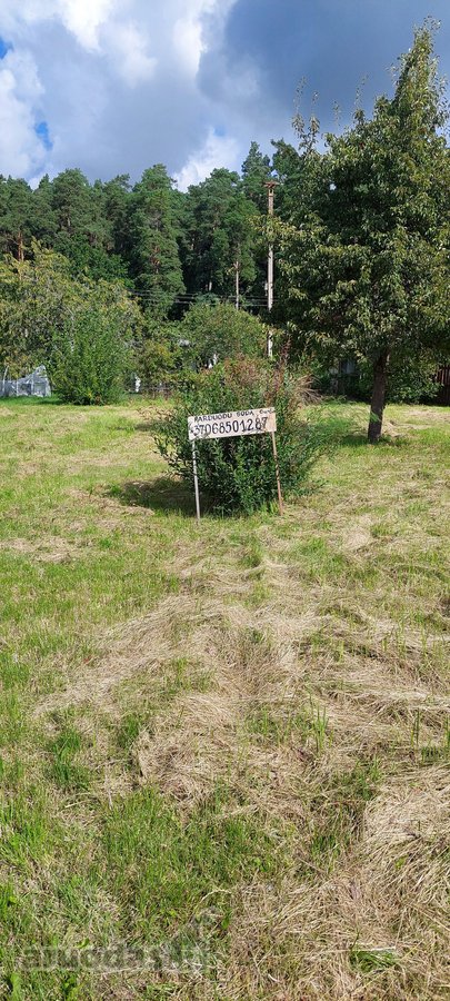 Parduodu gražioje vietoje sodą Kalnėnų sodų - nuotraukos Nr. 10