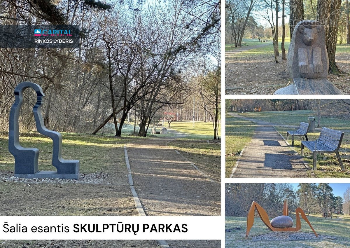 Nuomojamas 2 kambarių butas su Terasa ir - nuotraukos Nr. 31