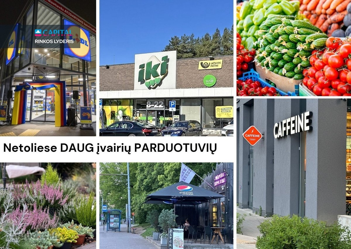 Nuomojamas 2 kambarių butas su Terasa ir - nuotraukos Nr. 32