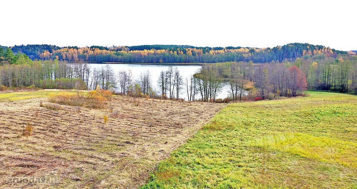 Parduodamas 0,85 ha namų valdos žemės sklypas - nuotraukos Nr. 6