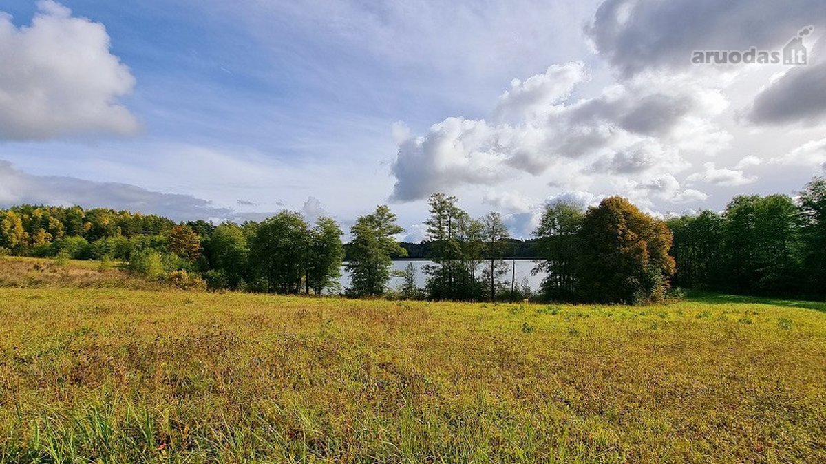 Parduodamas 0,85 ha namų valdos žemės sklypas - nuotraukos Nr. 9