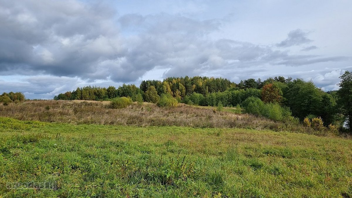 Parduodamas 0,85 ha namų valdos žemės sklypas - nuotraukos Nr. 12
