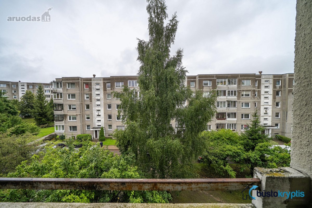 Parduodamas puikios būklės vieno kambario - nuotraukos Nr. 23