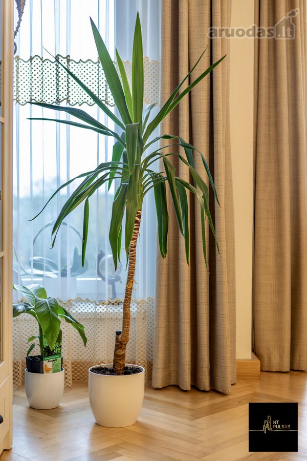 Išskirtinė Erdvė Palangos Centre – 111 M² - nuotraukos Nr. 14