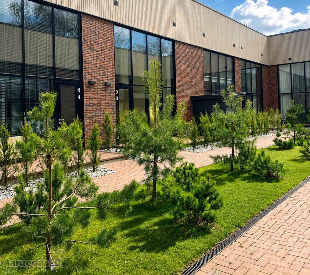 Tik 3 Dienas – 85 Kv. M Apartamentų Aukcionas - nuotraukos Nr. 4