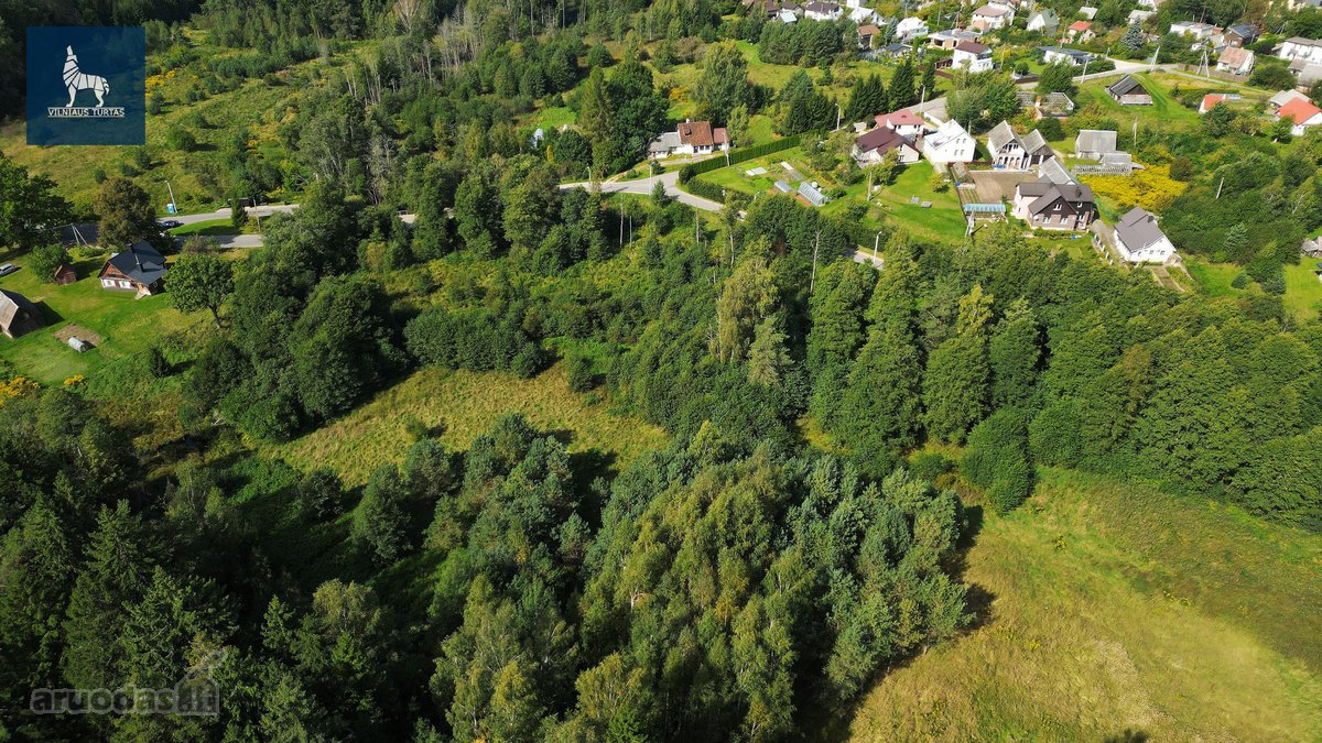 Parduodamas 5,56-ių arų ploto, namų valdos - nuotraukos Nr. 6