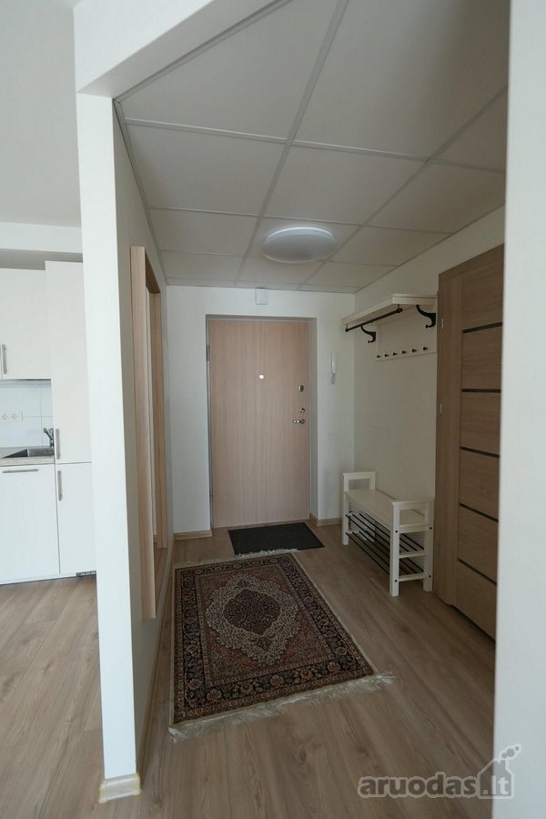 * Pilnai įrengtas, jaukus butas Deltuvos - nuotraukos Nr. 8