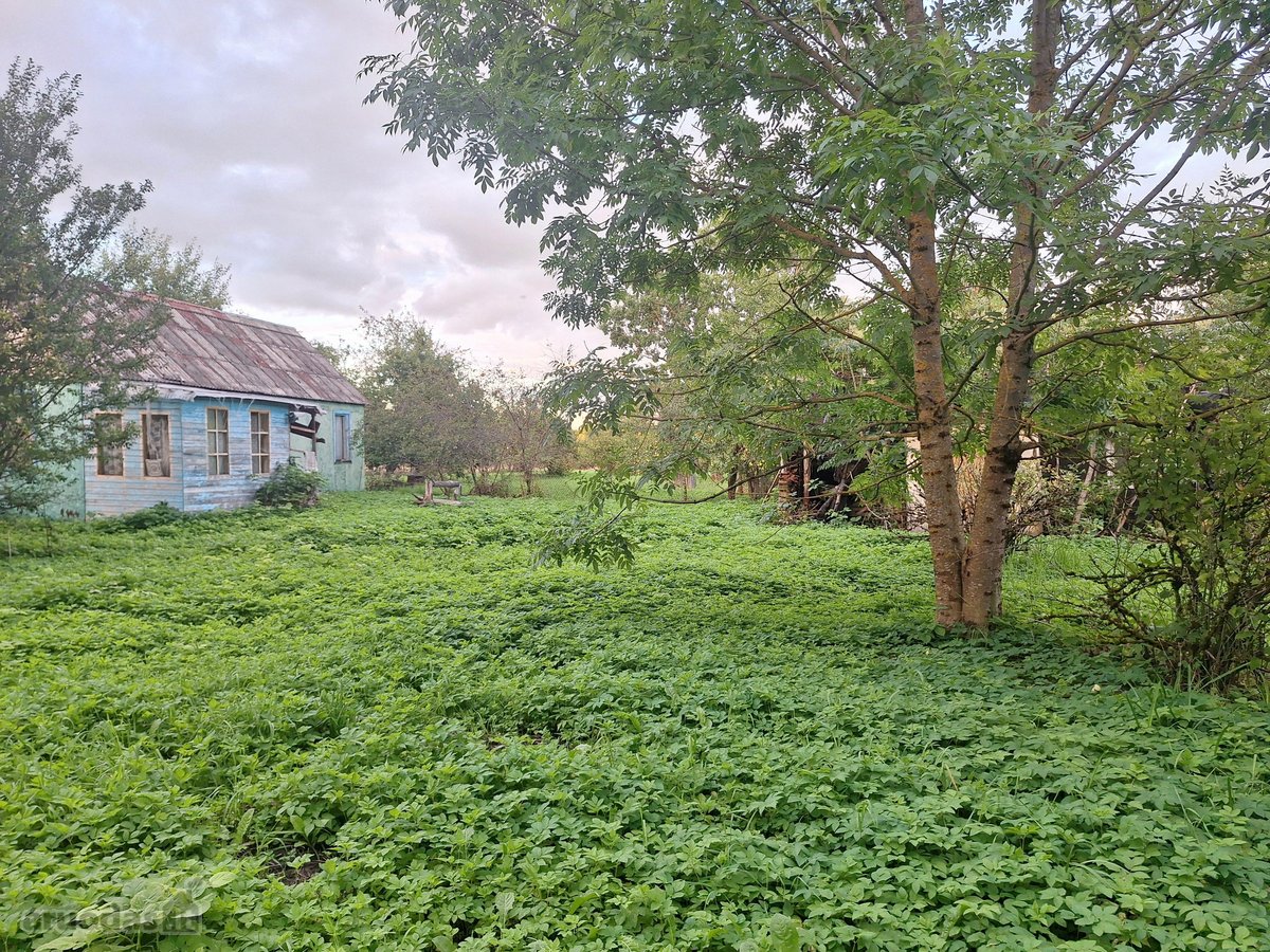 70,72 A Sodybvietė Gamtos Apsuptyje, Be - nuotraukos Nr. 10