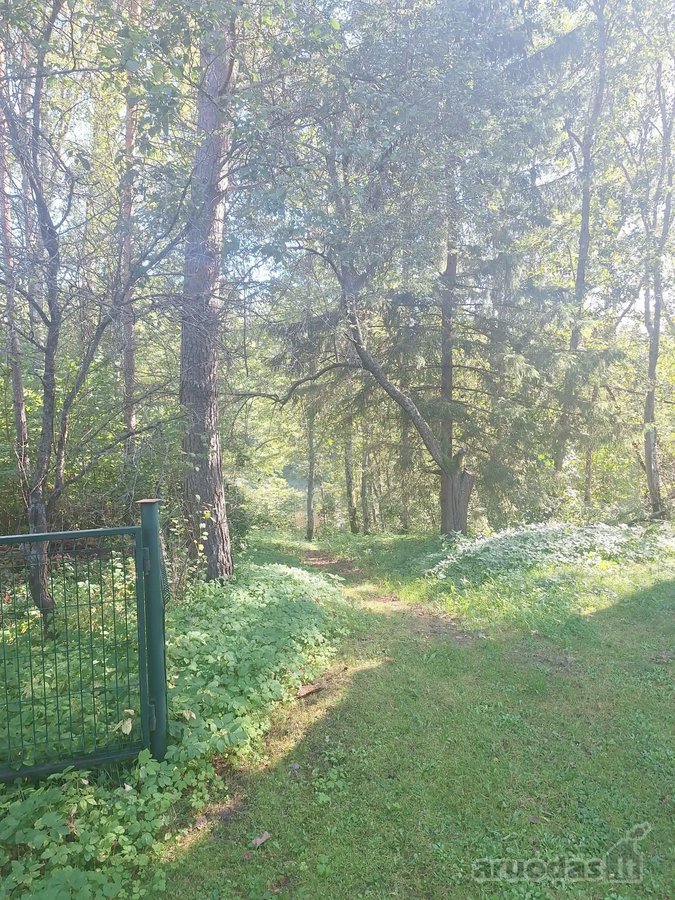 Šioje sodyboje rasite tai, apie ką svajoja - nuotraukos Nr. 2