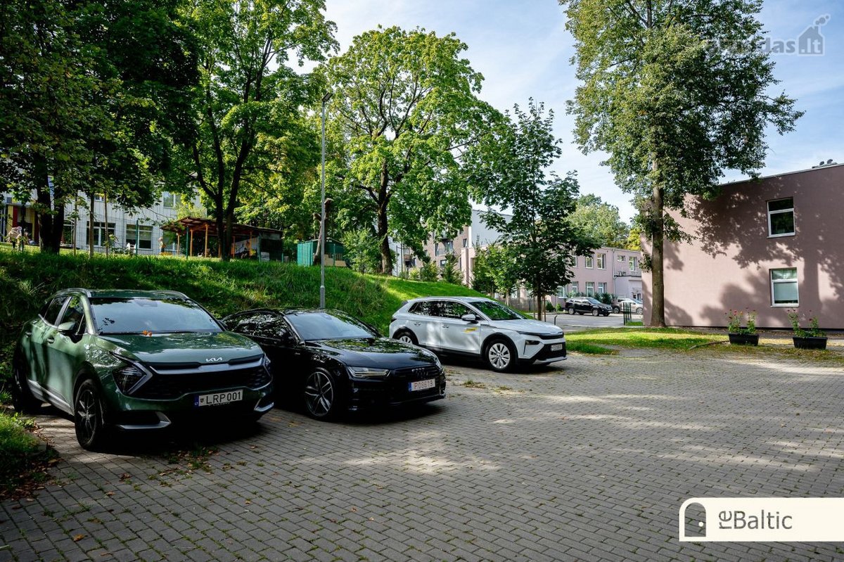 Ilgamečių medžių lajų žaluma, saulės - nuotraukos Nr. 31