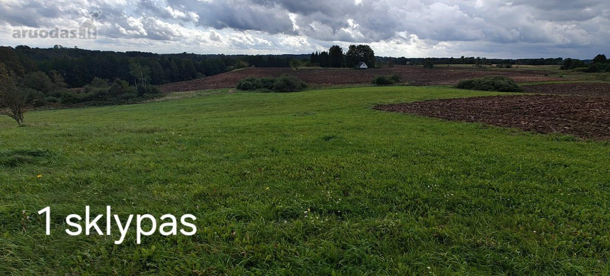 Parduodame du žemės sklypus, esančius vienas - nuotraukos Nr. 3