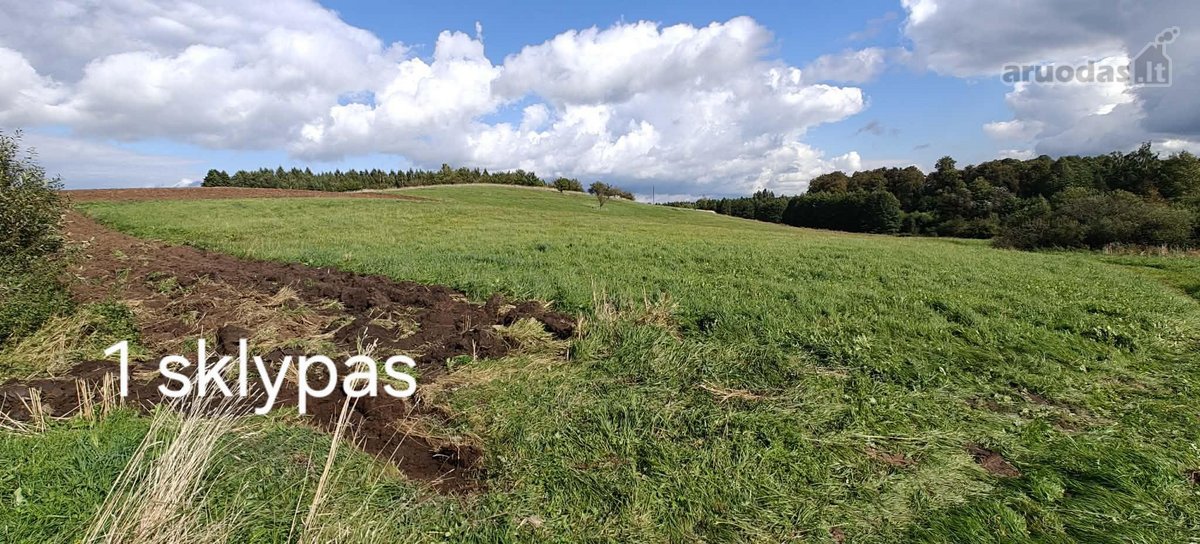 Parduodame du žemės sklypus, esančius vienas - nuotraukos Nr. 5
