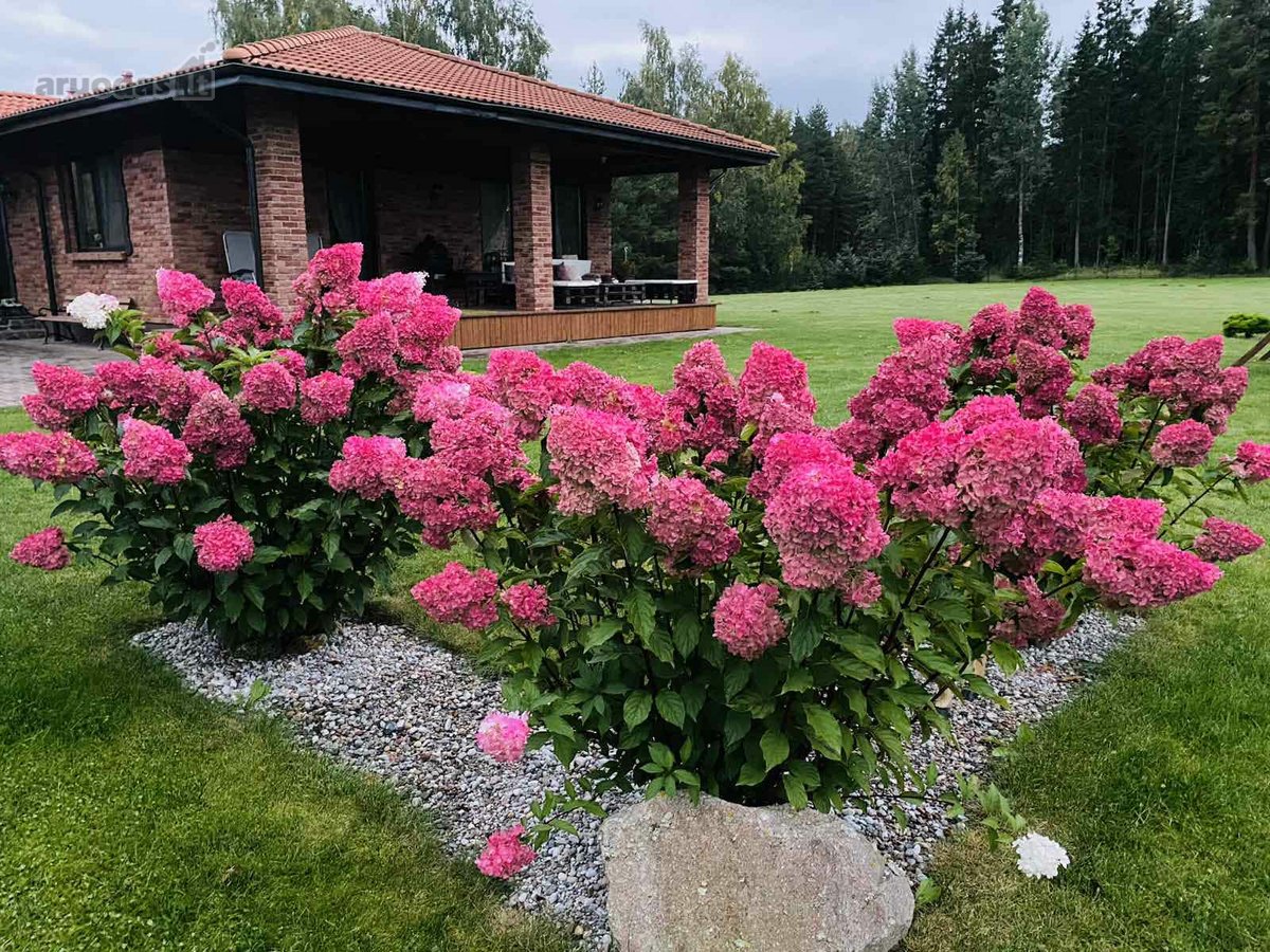Parduodama Išskirtinė, Sodyba Tirkšliuose, - nuotraukos Nr. 10