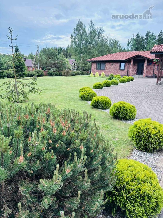 Parduodama Išskirtinė, Sodyba Tirkšliuose, - nuotraukos Nr. 22