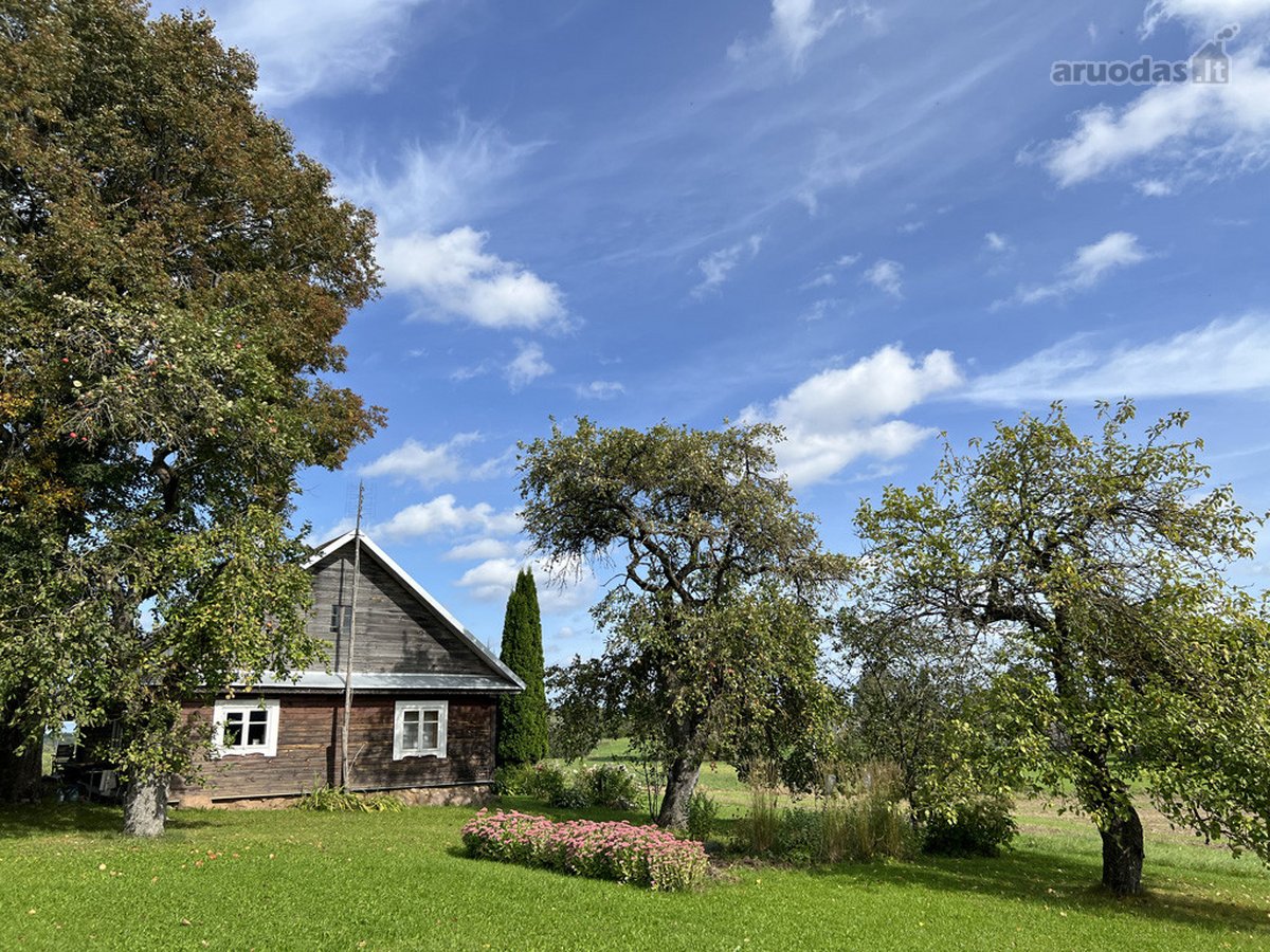 Kalvų Ir Klonių Apsuptyje Parduodama - nuotraukos Nr. 11