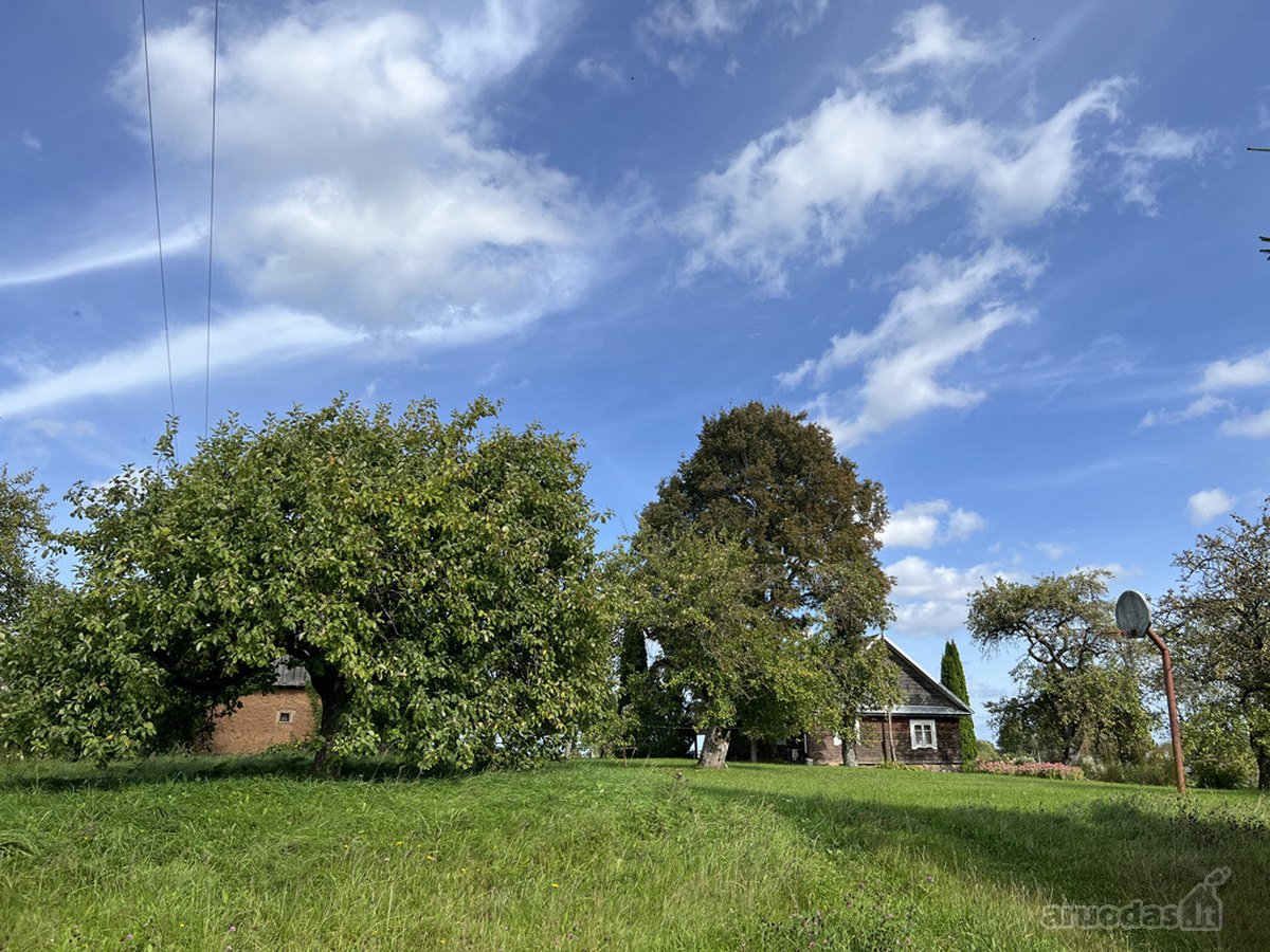 Kalvų Ir Klonių Apsuptyje Parduodama - nuotraukos Nr. 16
