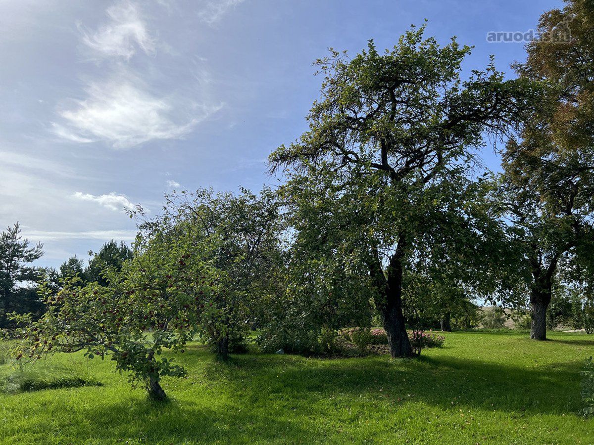 Kalvų Ir Klonių Apsuptyje Parduodama - nuotraukos Nr. 21