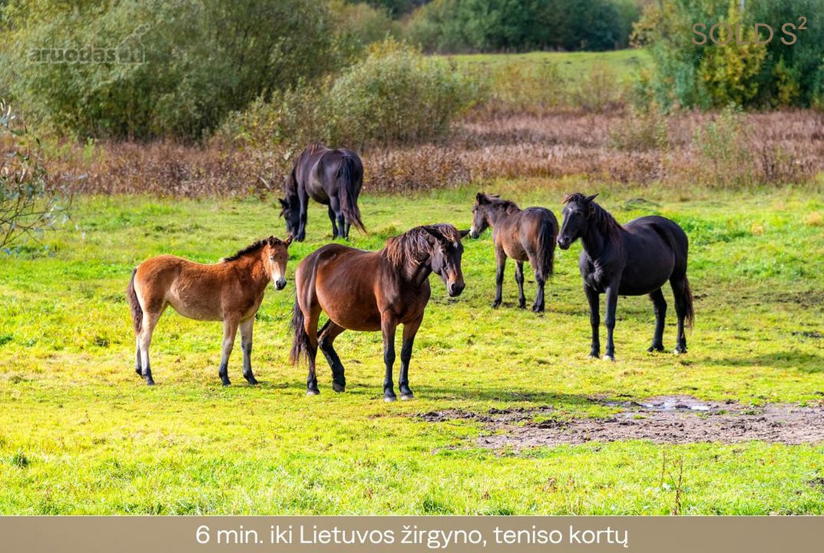 Parduodami naujai įrengti namai su erdviu - nuotraukos Nr. 23