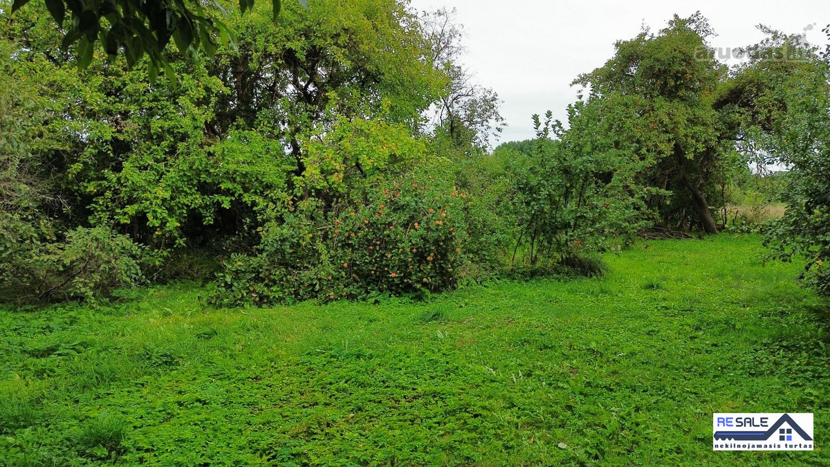 Parduodamas gyvenamasis namas Kelmės r., - nuotraukos Nr. 26