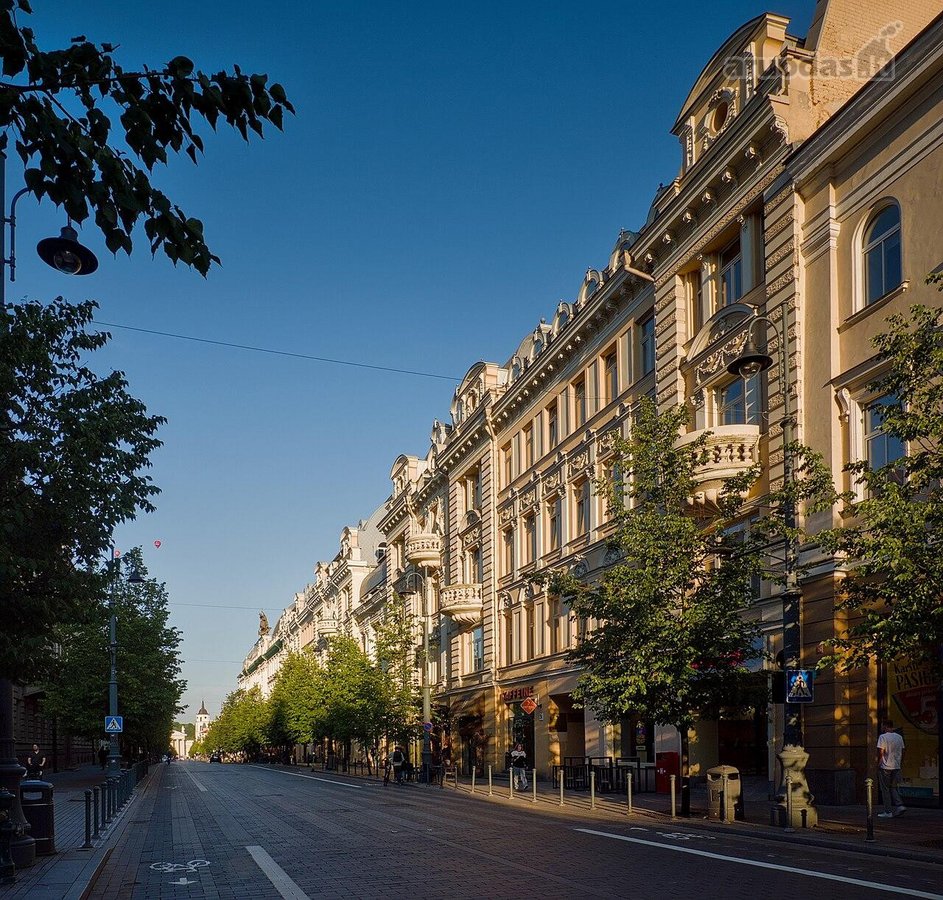 Erdvus Ir Šviesus 2 Kambarių Butas - Gedimino - nuotraukos Nr. 5