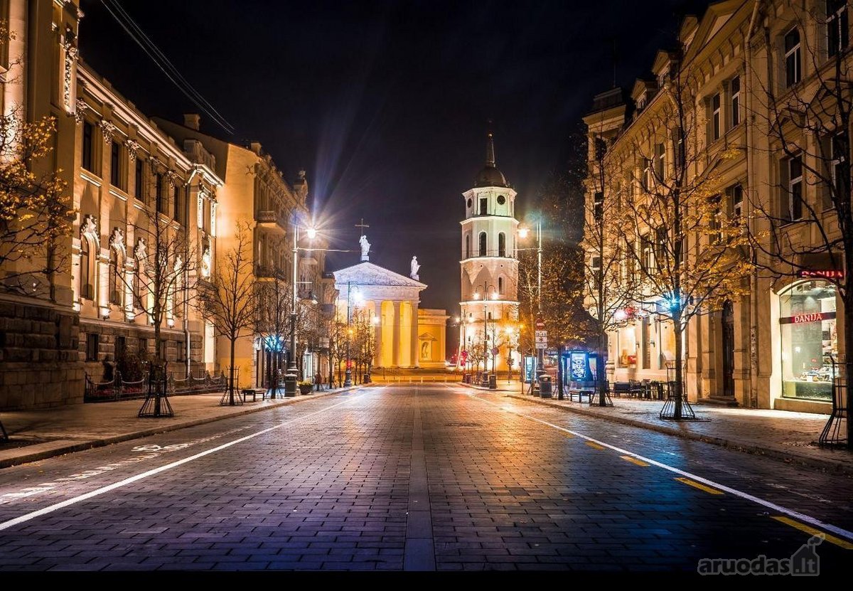 Erdvus Ir Šviesus 2 Kambarių Butas - Gedimino - nuotraukos Nr. 17