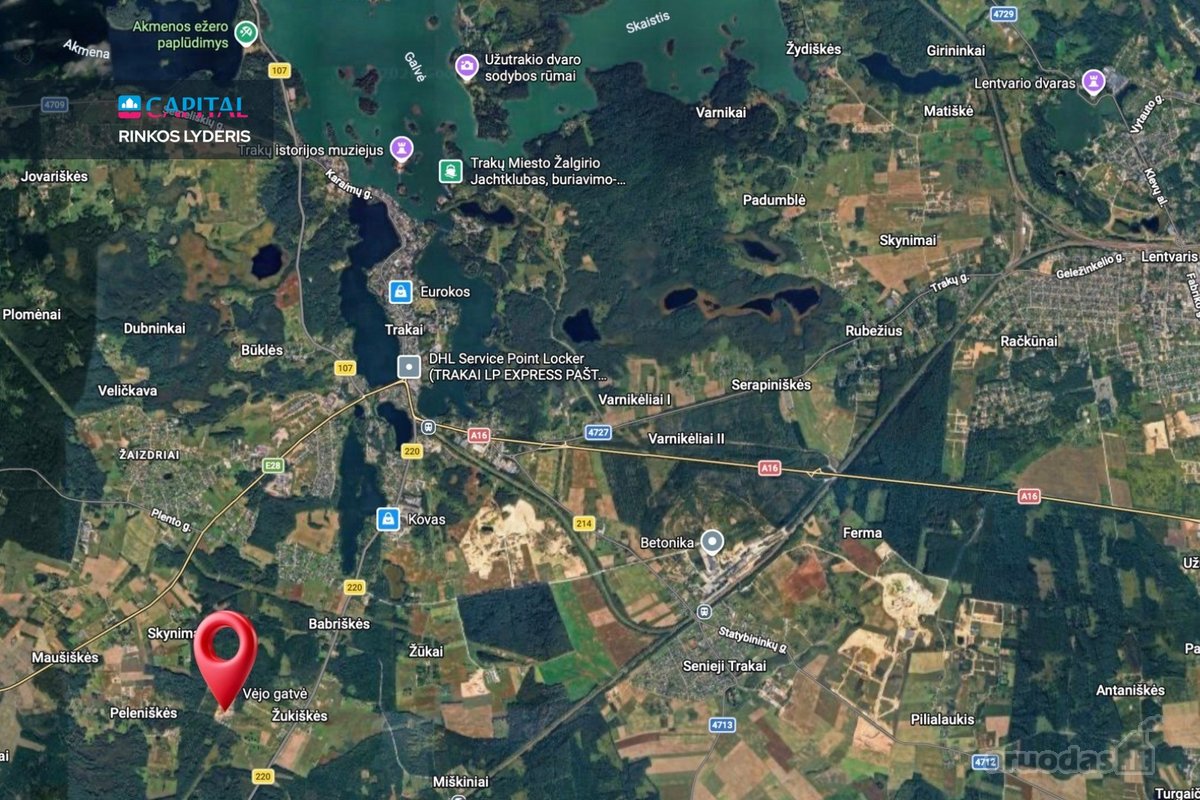 Naujos statybos vieno aukšto sublokuoti namai - nuotraukos Nr. 46