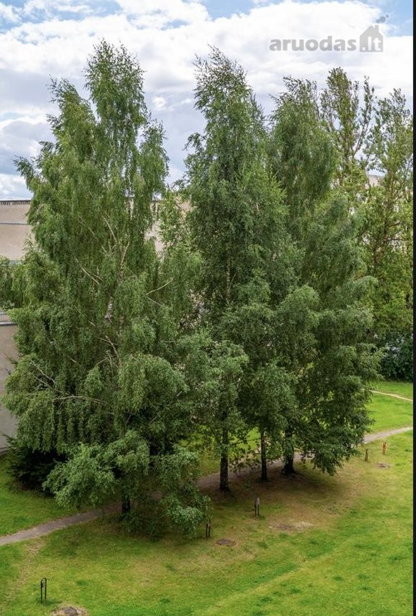 Vilniaus m. sav., Vilniaus m., Pašilaičiai - nuotraukos Nr. 33