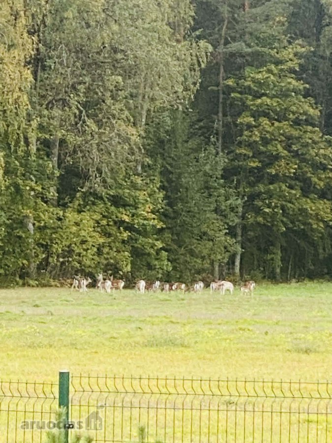 Parduodama Išskirtinė, Sodyba Tirkšliuose, - nuotraukos Nr. 53