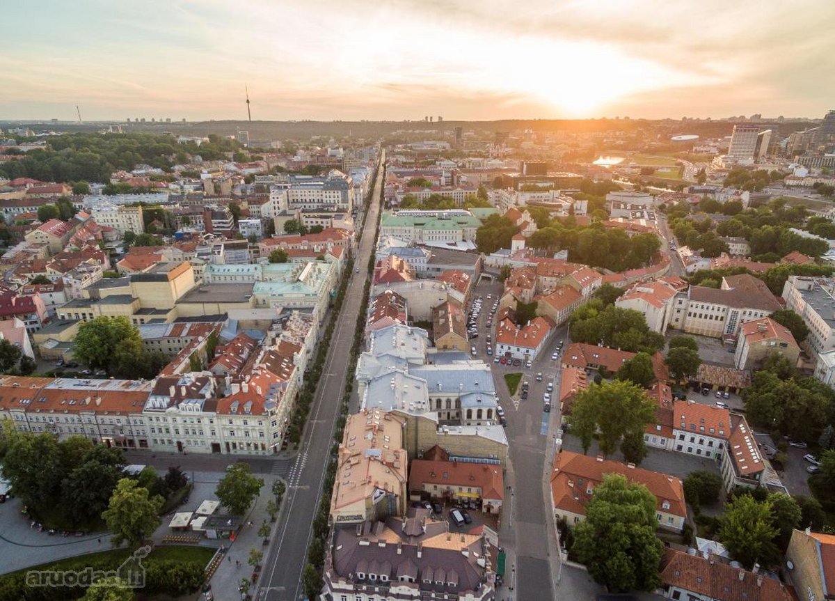 Erdvus Ir Šviesus 2 Kambarių Butas - Gedimino - nuotraukos Nr. 16