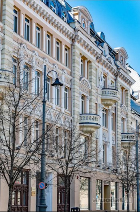 Erdvus Ir Šviesus 2 Kambarių Butas - Gedimino - nuotraukos Nr. 18