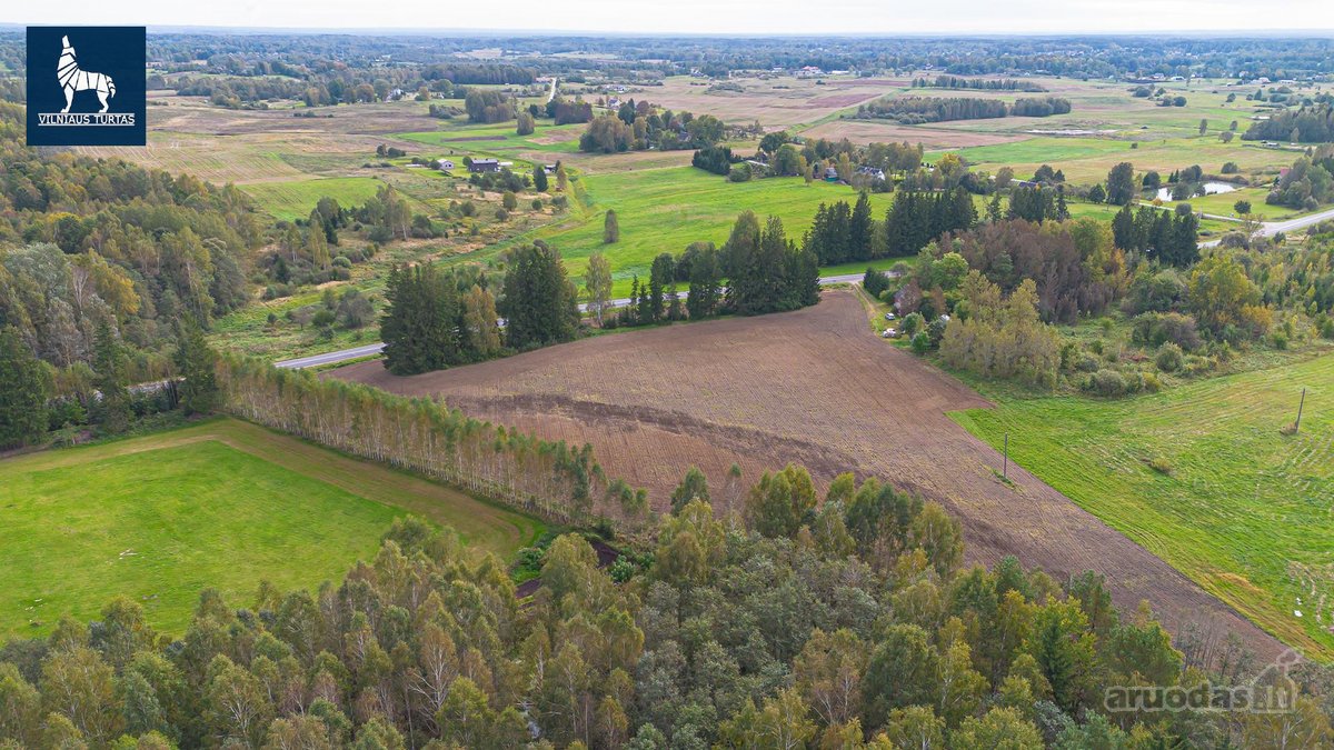Parduodamas 1,77 ha žemės ūkio paskirties - nuotraukos Nr. 7