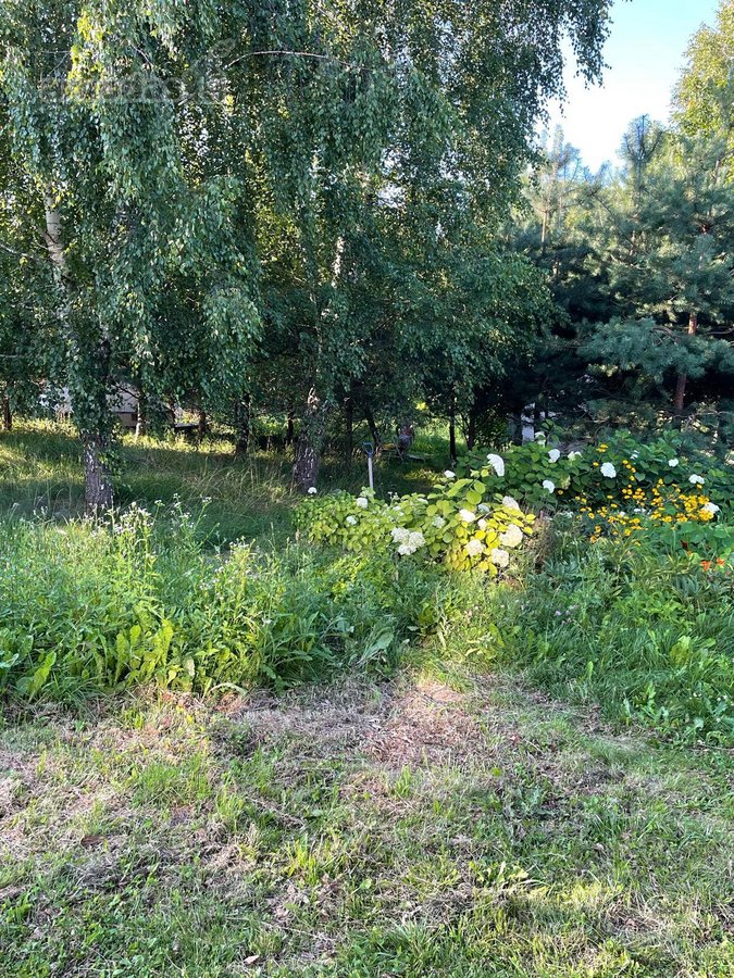 Jaukus 30 m² namelis gamtos apsuptyje - nuotraukos Nr. 12
