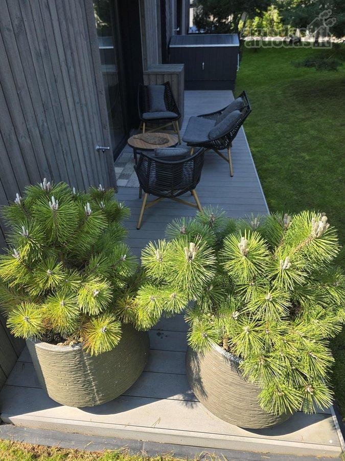 -Parduoda savininkas, Nt brokerių paslaugos - nuotraukos Nr. 2