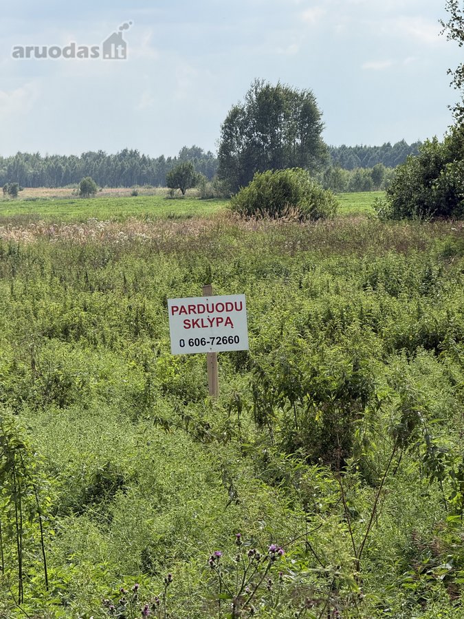 Pavadinimas - nuotraukos Nr. 18
