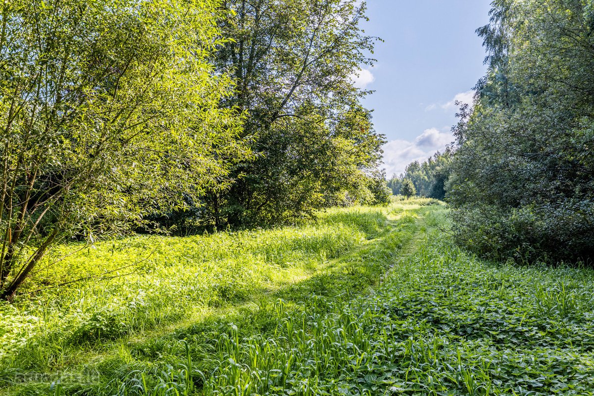 Parduodamas sklypas Tylioji g., Nemenčinės II - nuotraukos Nr. 7