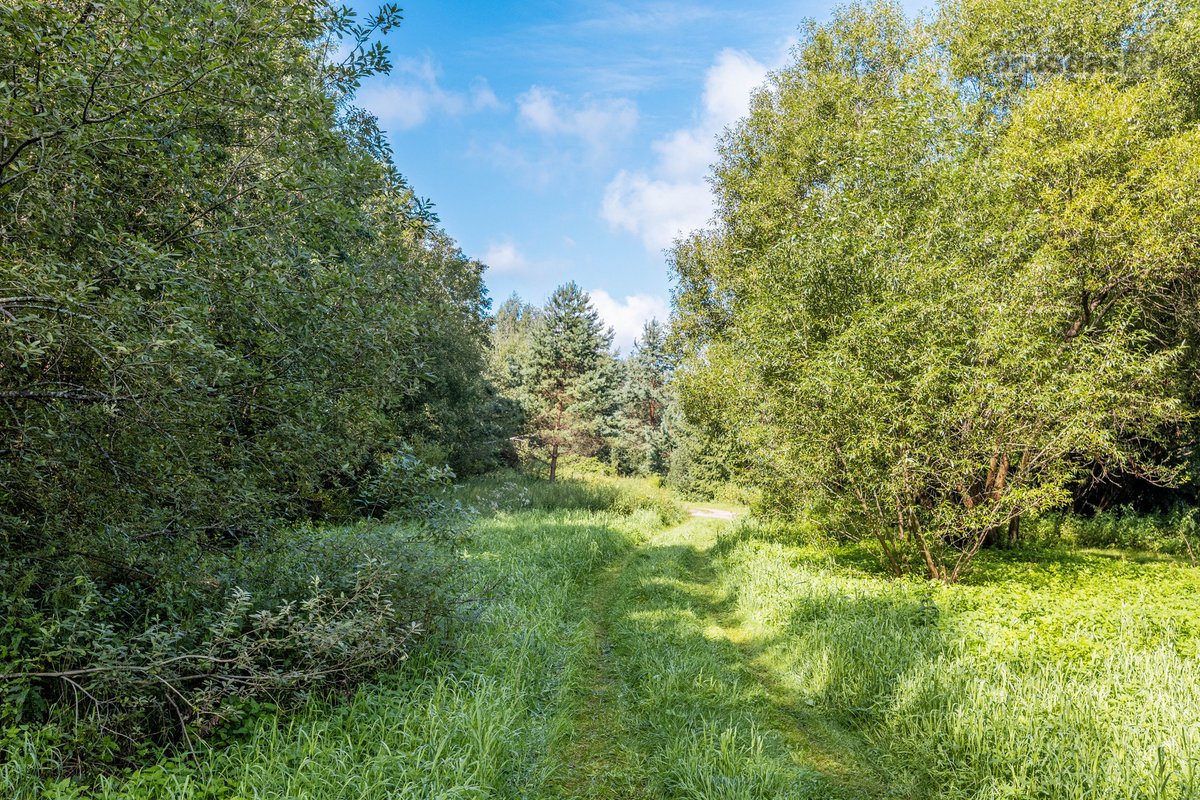 Parduodamas sklypas Tylioji g., Nemenčinės II - nuotraukos Nr. 15