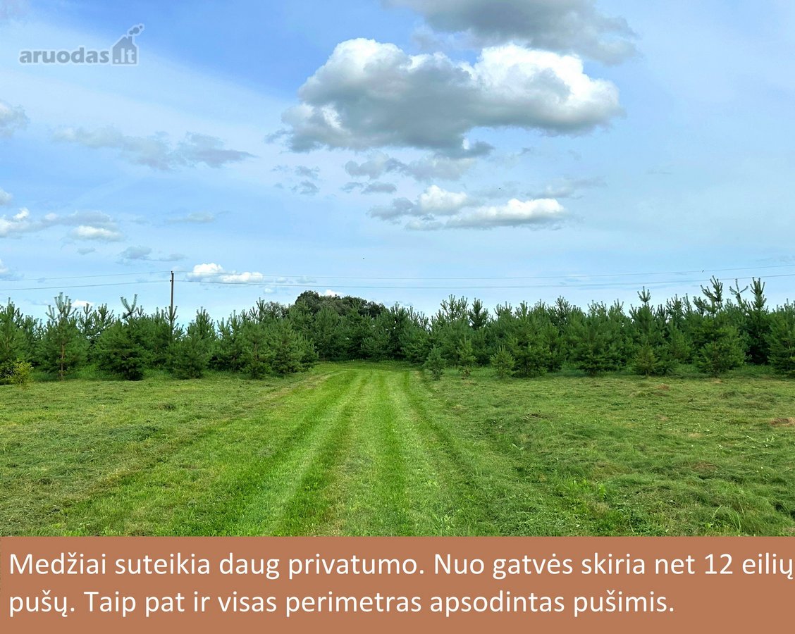 Nuostabi vieta gyventi. - nuotraukos Nr. 15