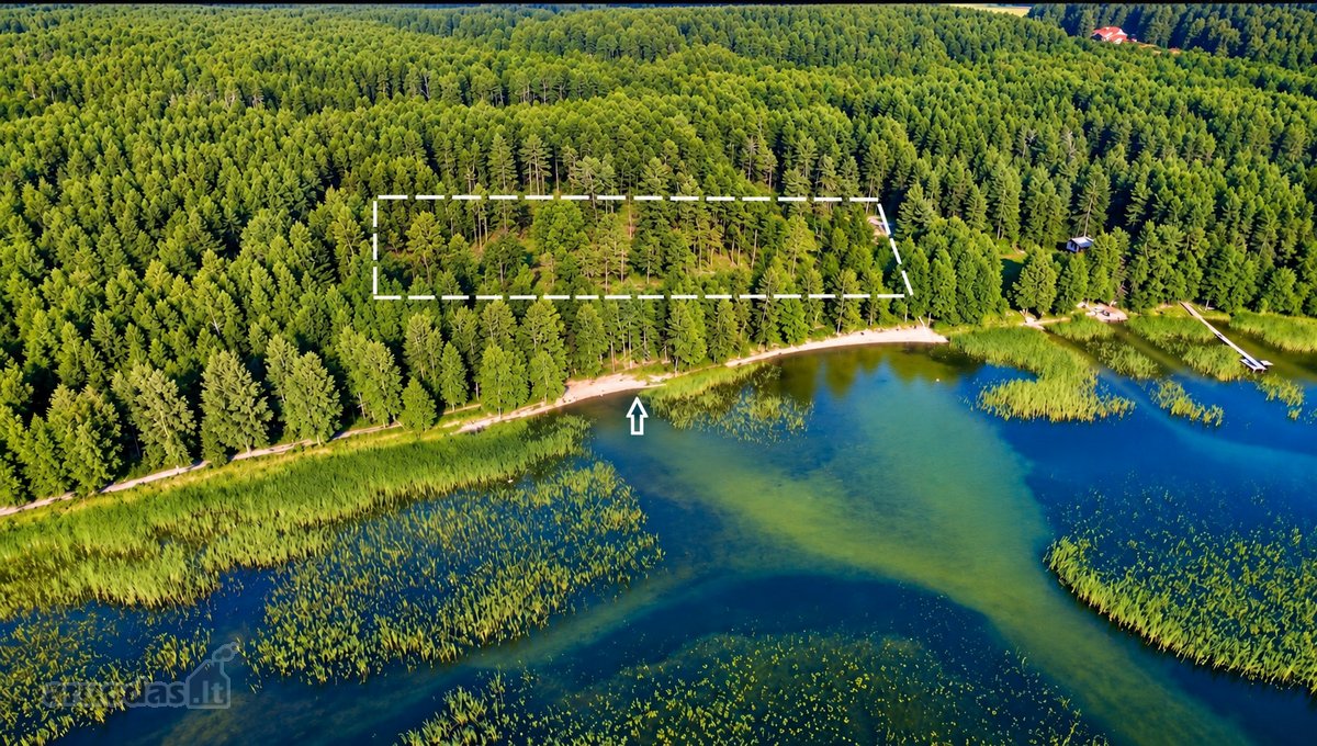 Išskirtinis sklypas prie Platelių ežero – - nuotraukos Nr. 2